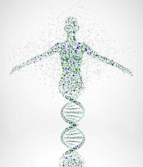 Skoliosetherapie - Spiraldynamik - Entwicklung von Körperbewusstsein Skoliosetherapie - Spiraldynamik - Entwicklung von Körperbewusstsein